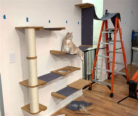 How To Build A Cat Wall 